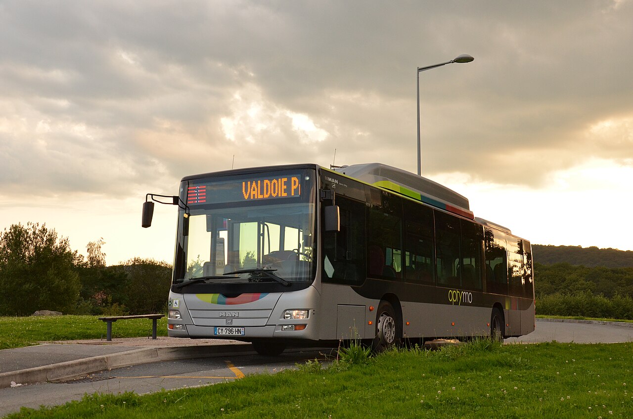 MAN Lion's City — Otobüs